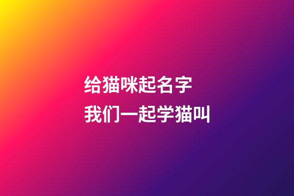 给猫咪起名字 我们一起学猫叫